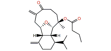 Litophynin G